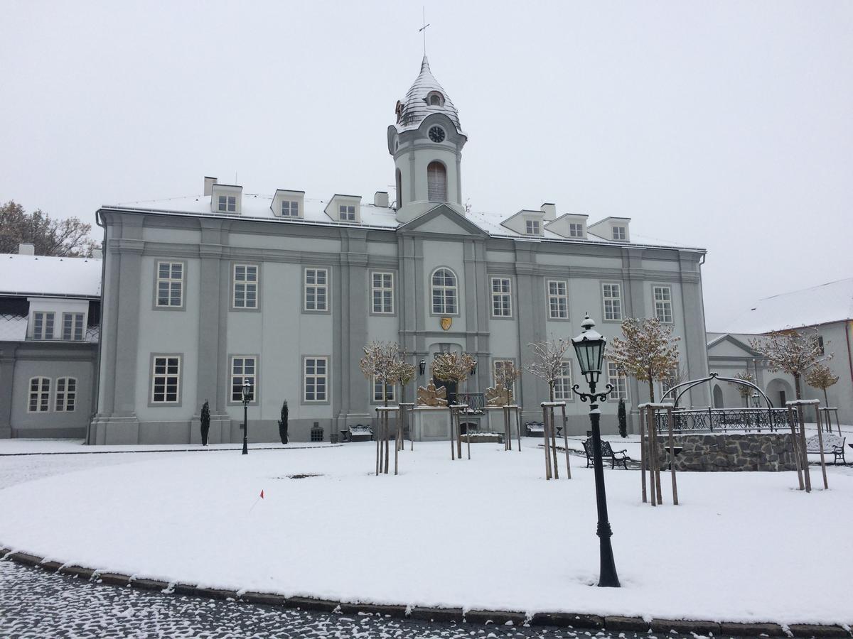 Hotel Panstvi Dlouha Lhota Экстерьер фото